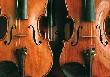 Violini