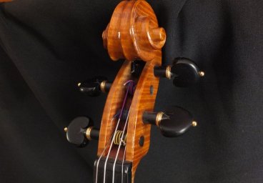Violino personale